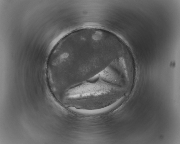 X0000112021325200908241506