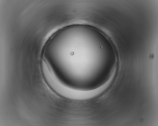 X0000112021326200908241506