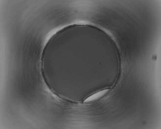 X0000112021327200908241506