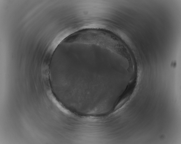 X0000112021329200908241506