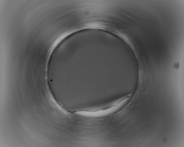 X0000112021331200908241506