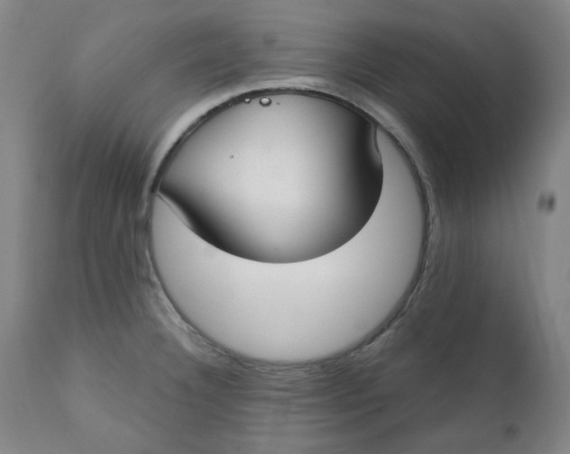 X0000112021332200908241506