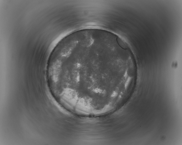 X0000112021333200908241506