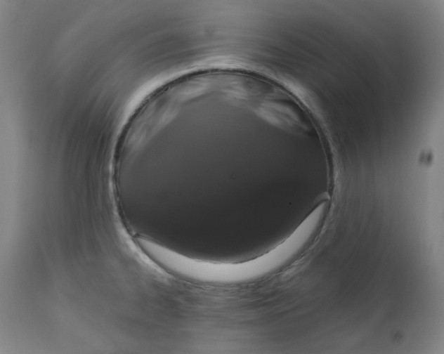 X0000112021334200908241506