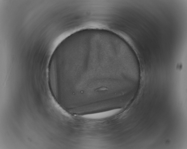 X0000112021335200908241506