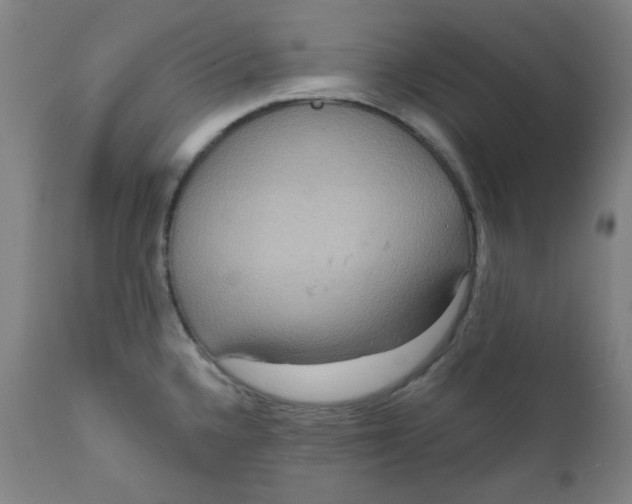 X0000112021336200908241506