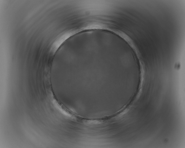 X0000112021337200908241506