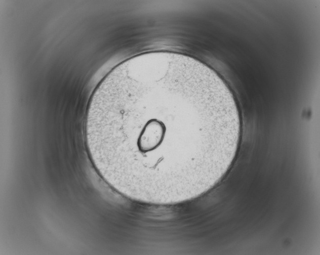 X0000112021338200908241506