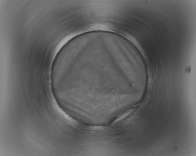 X0000112021339200908241506