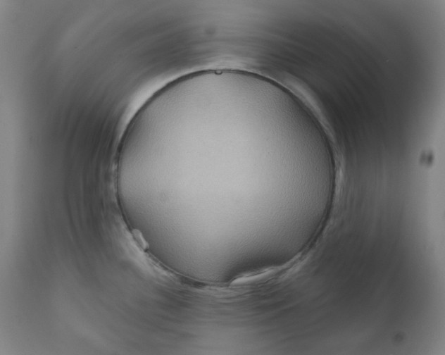 X0000112021340200908241506