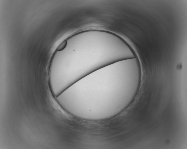 X0000112021341200908241506