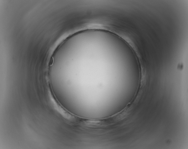 X0000112021342200908241506