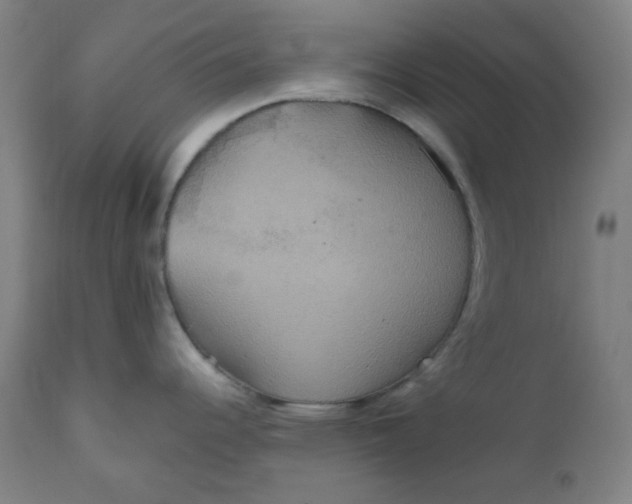 X0000112021344200908241506