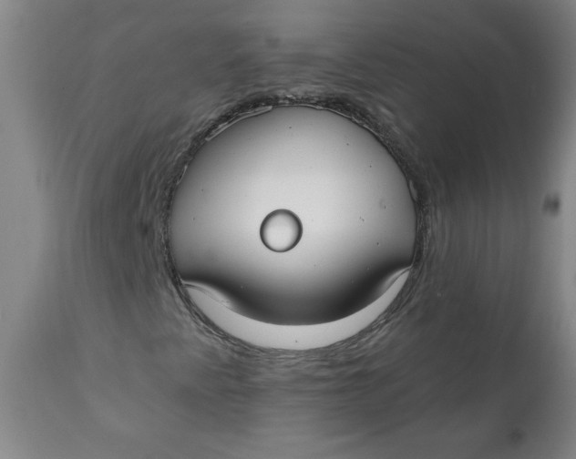 X0000112021345200908241505