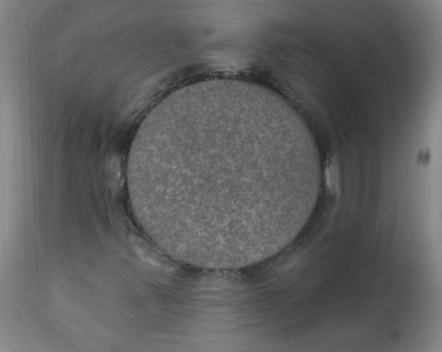 X0000112021347200908241505