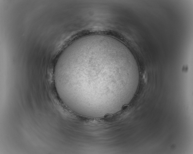 X0000112021348200908241505