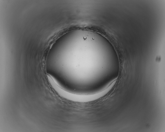 X0000112021349200908241505