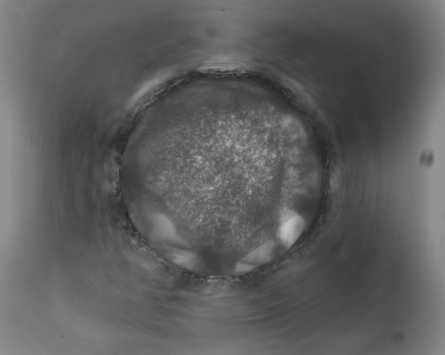 X0000112021350200908241505