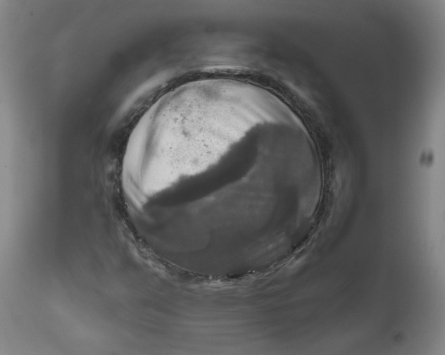 X0000112021351200908241505