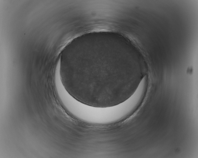 X0000112021353200908241505