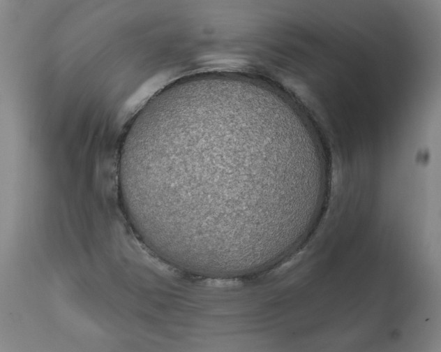 X0000112021354200908241505