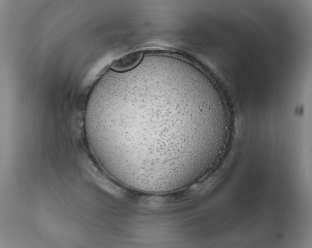 X0000112021355200908241505