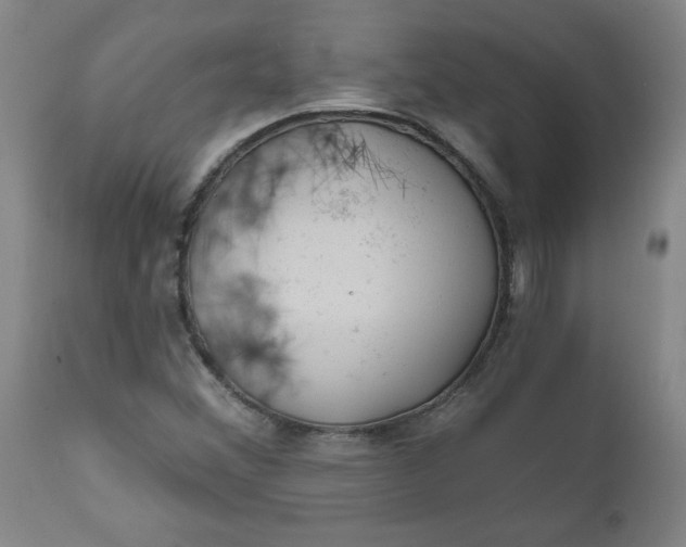 X0000112021356200908241505