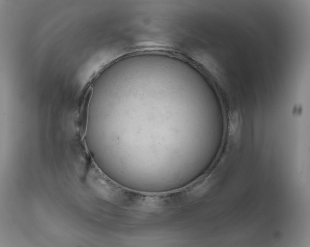 X0000112021357200908241505