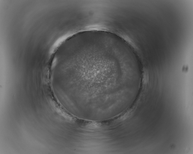 X0000112021358200908241505