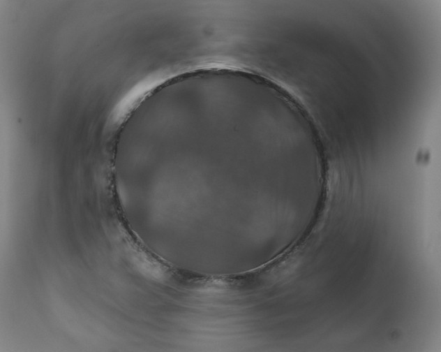 X0000112021359200908241505