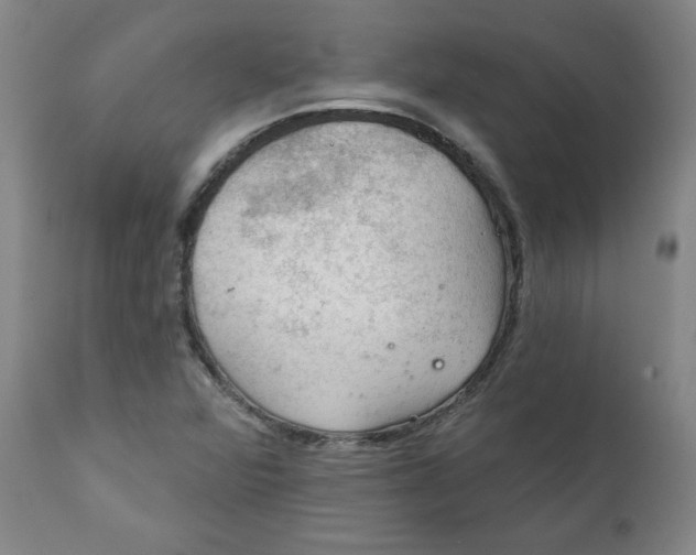 X0000112021360200908241505