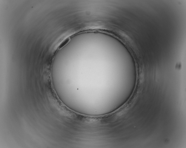 X0000112021361200908241505