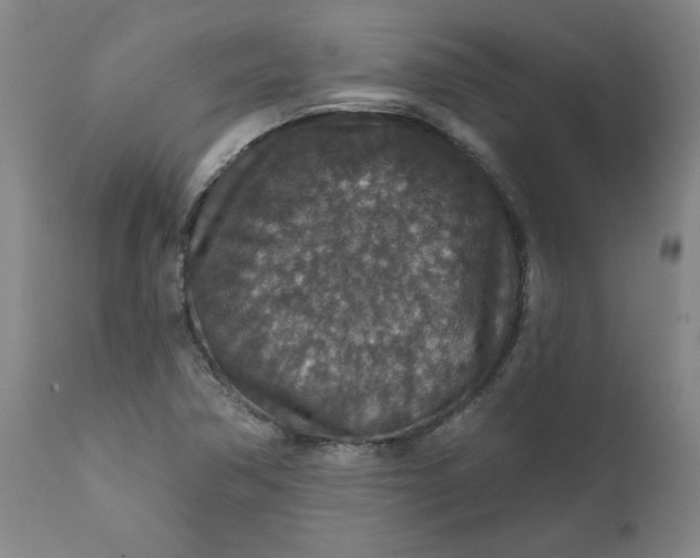 X0000112021362200908241505