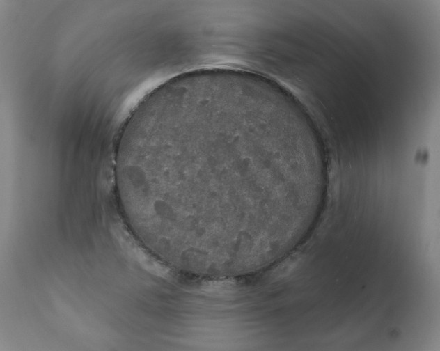 X0000112021363200908241505