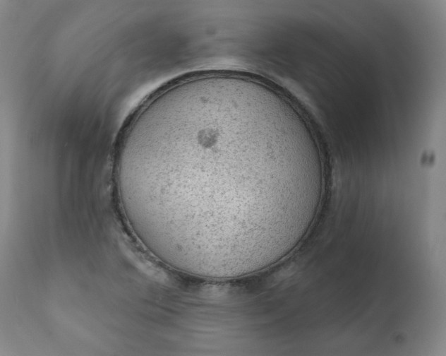 X0000112021364200908241505