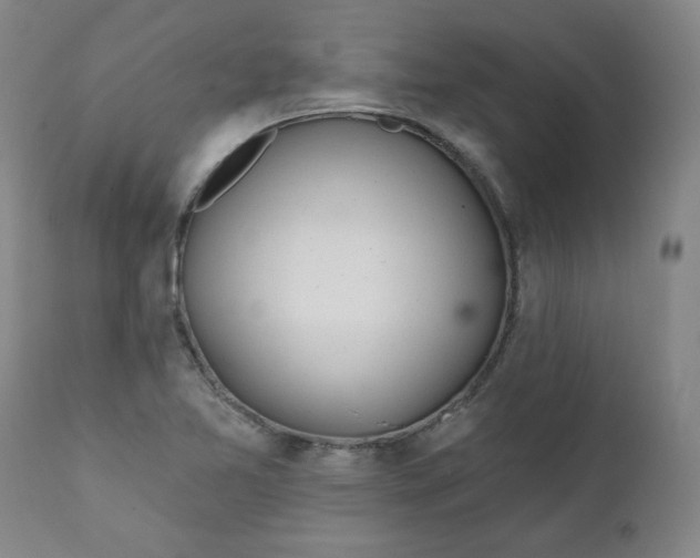 X0000112021365200908241505