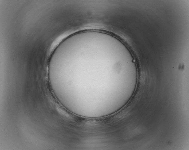 X0000112021366200908241505