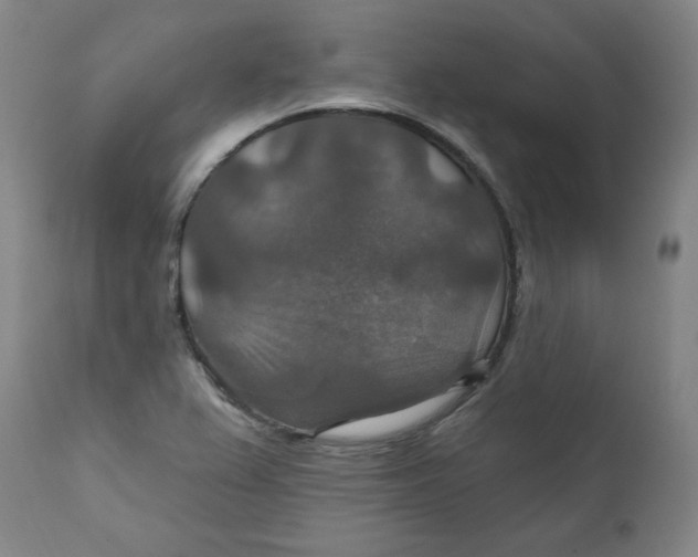 X0000112021367200908241505