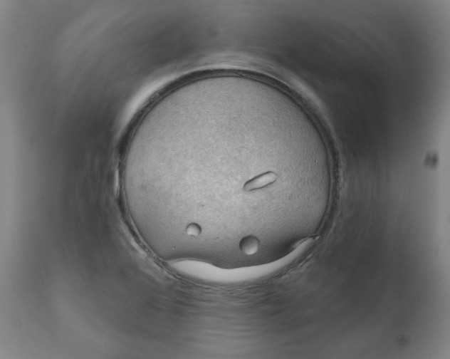 X0000112021368200908241505