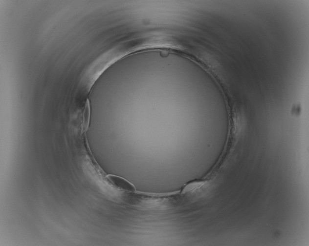 X0000112021369200908241505