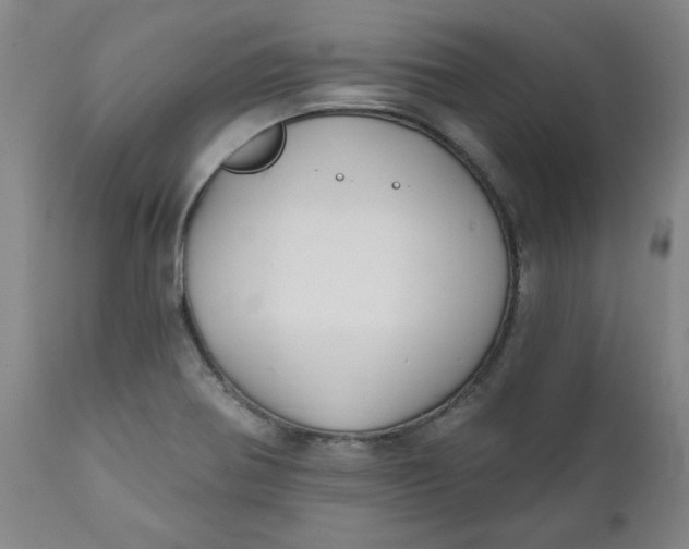 X0000112021370200908241505