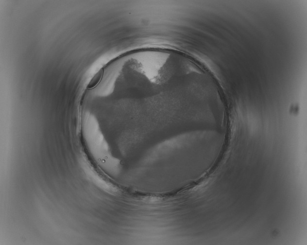 X0000112021371200908241505