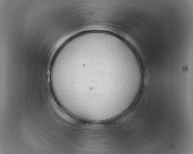 X0000112021372200908241505