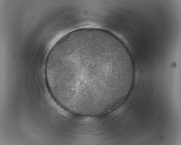 X0000112021375200908241505