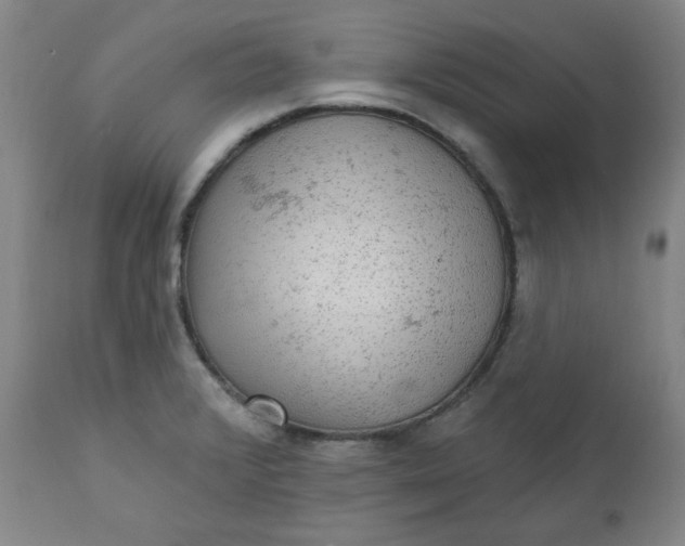 X0000112021376200908241505