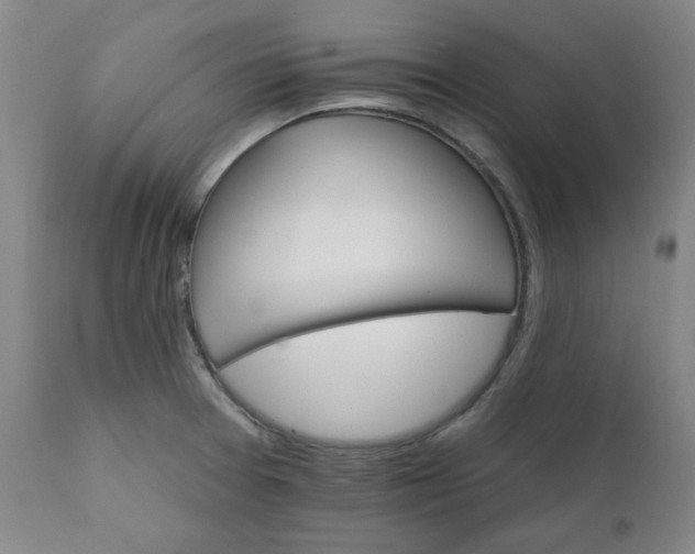 X0000112021377200908241505