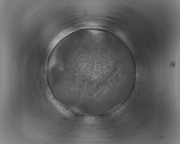 X0000112021378200908241505