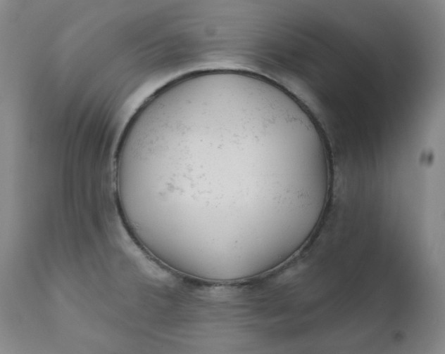 X0000112021380200908241505