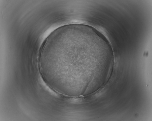 X0000112021381200908241505