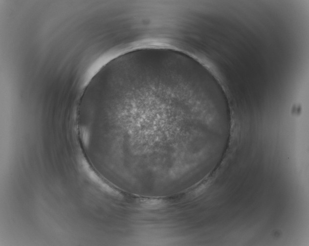 X0000112021382200908241505